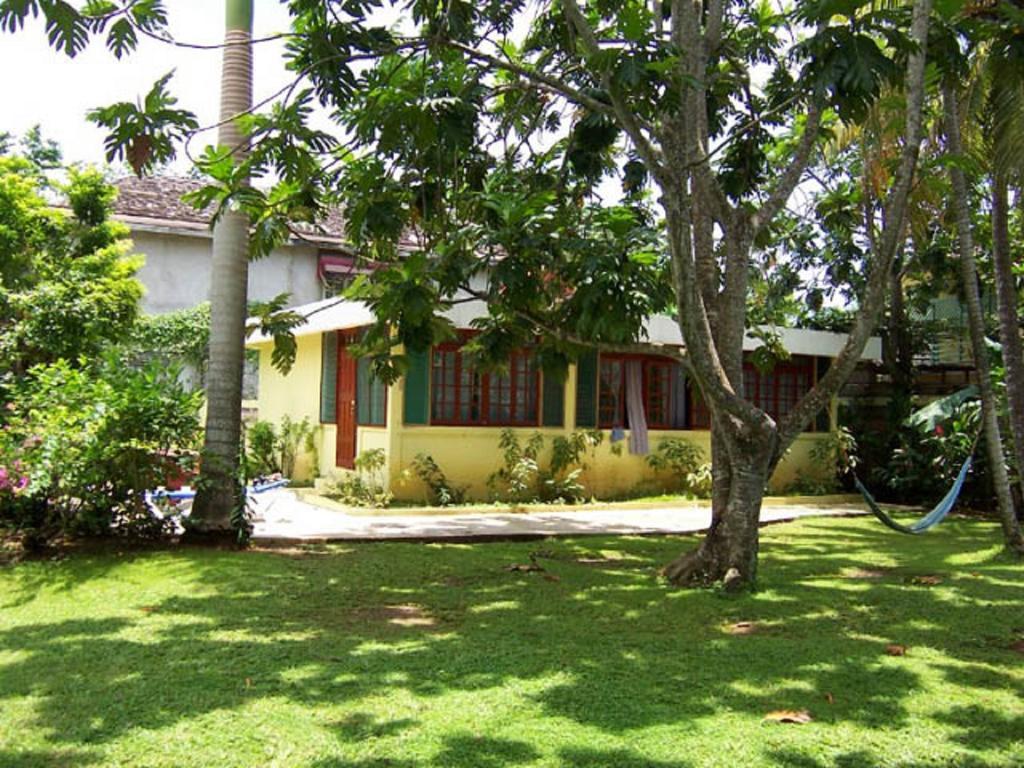 Yellow Bird Sea Negril Exterior photo